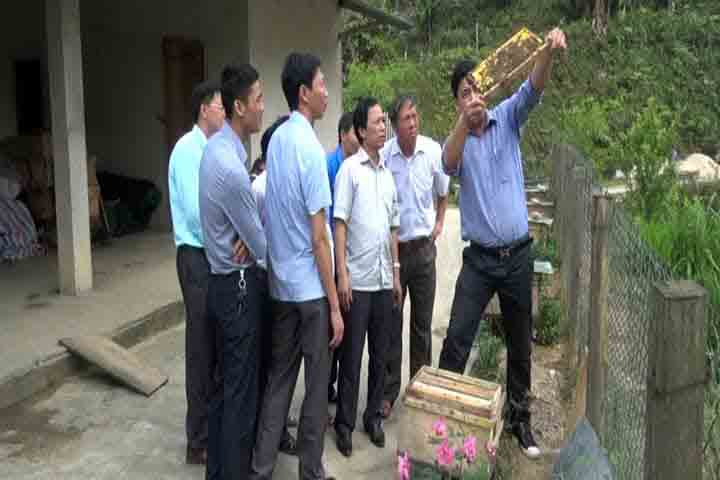 Bí thư Huyện ủy Hoàng Hải Lý kiểm tra mô nuôi ong tại xã Hồ Thầu